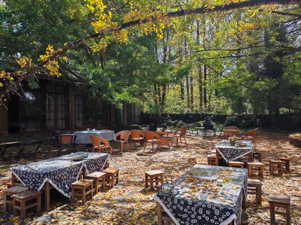 不止看银杏！腾冲江东村藏着“情绪密码”